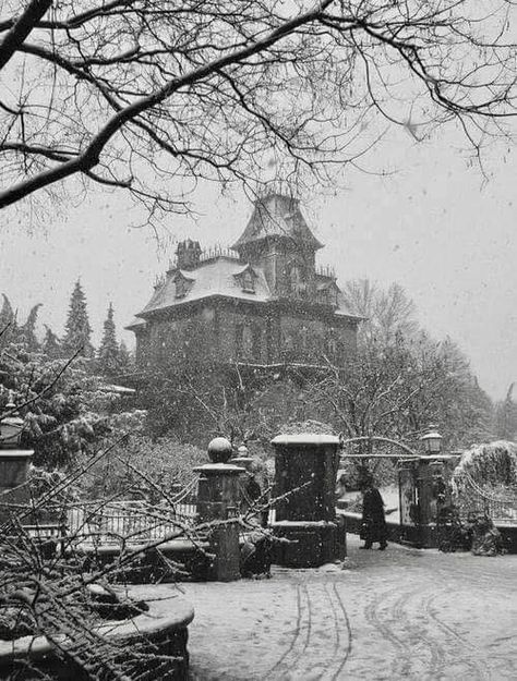 Old Mansions, Victorian Mansions, Abandoned House, Abandoned Mansions, Victorian Architecture, Haunted Places, Gothic House, Abandoned Buildings, Haunted Mansion