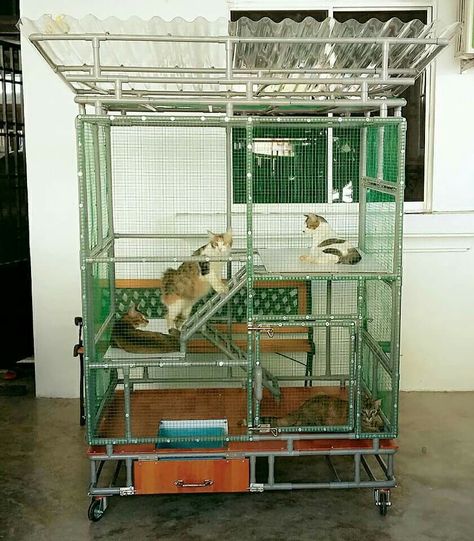 Cat cage DIY Cat Cage Diy, Dog Cage Ideas, Diy Dog Cage, Reban Ayam, Diy Cat Enclosure, Outdoor Pet Enclosure, Cat Playground Outdoor, Hamsters As Pets, Woodworking Accessories