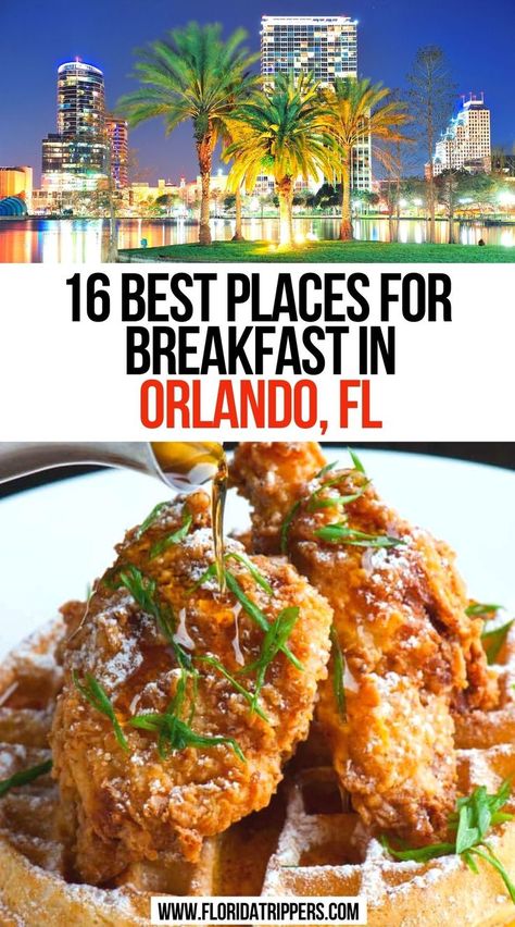 16 Best Places For Breakfast In Orlando, FL Best Places To Eat In Orlando Fl, Best Restaurants In Orlando Florida, Places To Eat In Orlando Florida, Orlando Florida Food, Restaurants In Orlando Florida, Orlando Florida Restaurants, Winter Park Orlando, Orlando Food, Florida Trips