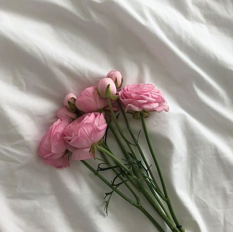 Serendipity Aesthetic, Aesthetic Magazine, Soft Pink Theme, Toenail Polish, Pink Themes, Luxury Flowers, Different Flowers, Nature Aesthetic, Flower Wallpaper