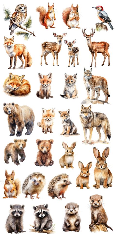 Drawing Forest Animals, Woodland Creatures Art, Forest Animals Art, Animal Clipart Free, Woodland Background, Baby Forest Animals, Forest Animals Illustration, Cute Forest Animals, Forest Clipart