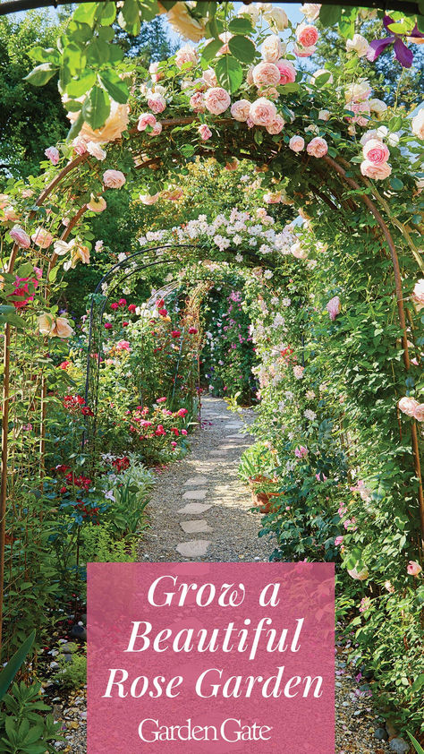 Walkway with Arbors covered with beautiful pink roses Rock Garden With Roses, Rose Wall Garden, Raised Bed Rose Garden, Secret Rose Garden, Rose Garden Plans Design, Climbing Rose Arbor, Side Yard Rose Garden, Roses In Raised Beds, Victorian Rose Garden