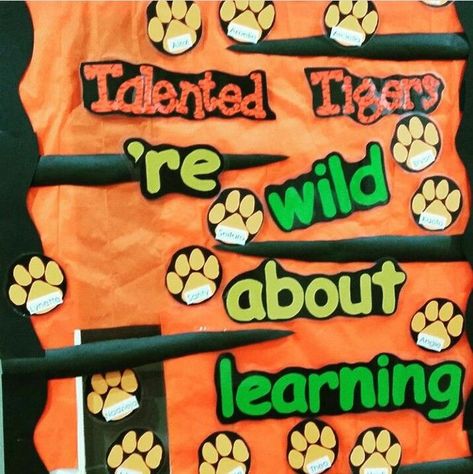 Tiger Door Decorations Classroom, Tiger Themed Classroom Ideas, Tiger Classroom Door, Tiger Theme Classroom, Tiger Bulletin Board Ideas, Kindergarten Classroom Door, Teacher Appreciation Door Decorations, Class Door Decorations, Kindergarten Classroom Themes