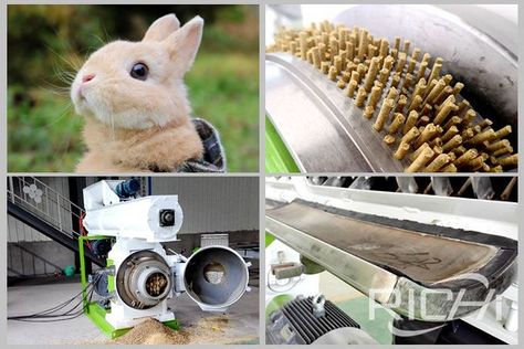 Rabbit feed granulator and feed formula Rabbit Feed, Rabbit Pellets, Rabbit Feeding, Pig Feed, Female Rabbit, Rabbit Farm, Meat Rabbits, Poultry Feed, Farming Business