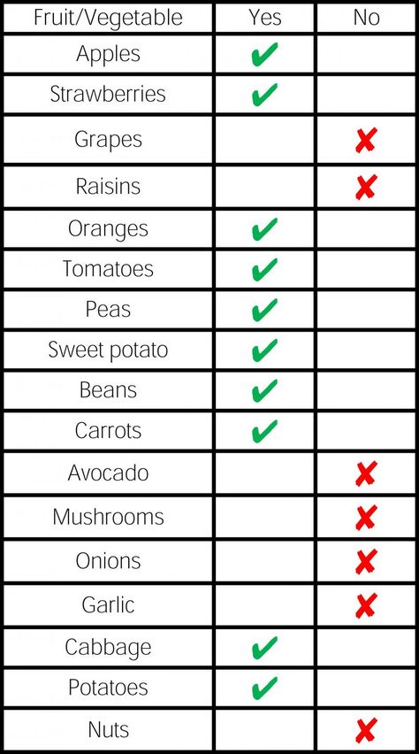 Foods Dogs Cant Have, What Can Dogs Eat, Fruit Dogs Can Eat, Can Dogs Eat Apples, Dog Goals, Foods Dogs Can Eat, Cabbage And Potatoes, Meat And Vegetables, Rose Recipes