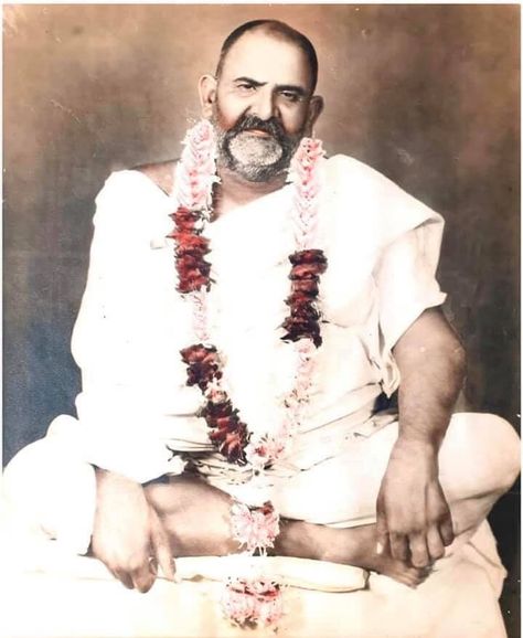 Neem Karoli Baba, The World