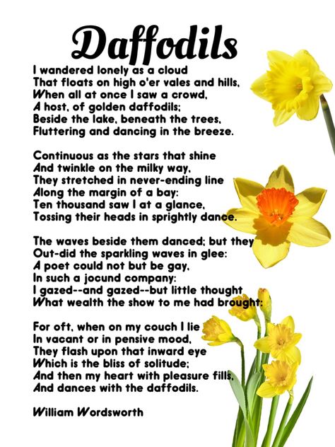 How we're celebrating World Poetry Day -- Daffodils, William Wordsworth Daffodils Poem William Wordsworth, Daffodil Wallpaper Iphone, Poem Daffodils, Daffodils Aesthetic, Wordsworth Quotes, Daffodils Poem, William Wordsworth Quotes, Daffodils William Wordsworth, Golden Daffodils