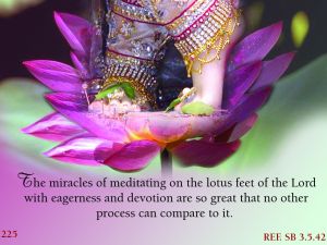 Lotus Feet Of Lord Krishna Quotes, Lotus Feet Of Lord Krishna, Feet Of Krishna, Lord Krishna Quotes, Santana Dharma, Boy Birthday Decorations, Shree Krishna Wallpapers, Srila Prabhupada, Gita Quotes