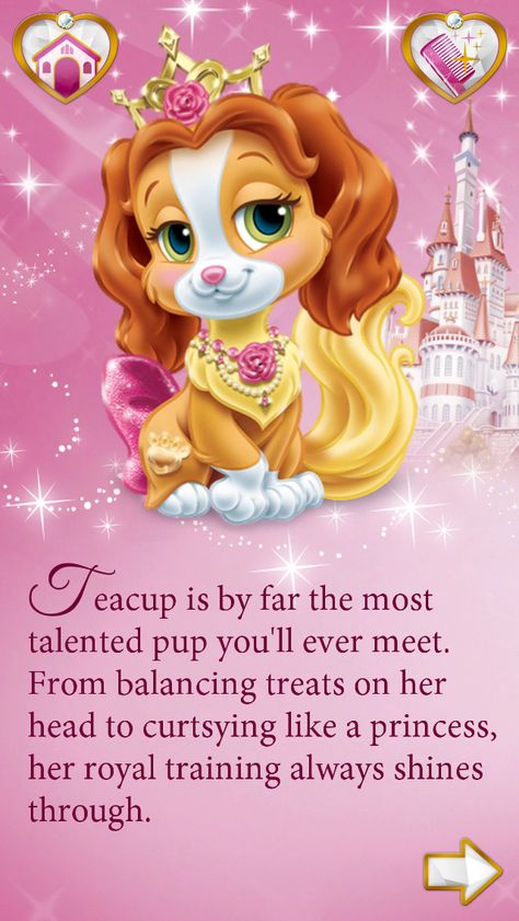 Teacup is by far the most talented pup you'll ever meet. From balancing treats on her head to curtsying like a princess, her royal training always shines through. #BeautyAndTheBeast Teacup Aesthetic, Thanksgiving Turkey Pictures, Princess Pets, Disney Princess Pets, Dream Catcher Vector, Disney Princess Palace Pets, Princess Palace Pets, Walt Disney Princesses, Princess Palace