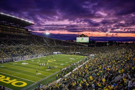 The Oregon Ducks vs Nevada Wolfpack at Autzen Stadium on Sept. 7, 2019 (©KevinCline/kevcsports - IG @kevcsports) Oregon Eugene, Autzen Stadium, Stadium Wallpaper, Ducks Football, Cholo Art, Oregon Ducks Football, Room Prints, Notre Dame Football, Mike Trout