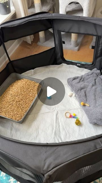 Foster Kittens Setup, Kitten Set Up, Asmr Setup, Washable Puppy Pads, Food Set Up, Foster Cat, Dog Pen, Kitten Food, Puppy Pads