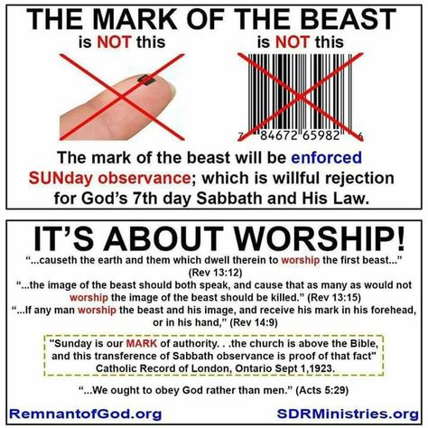 Bible Evidence, Beast Of Revelation, Revelation Bible Study, Mark Of The Beast, Revelation Bible, Bible Topics, Bible Study Topics, Bible Journal Notes, End Times