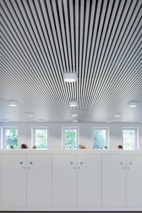 Ceiling Architecture Project: Waterschap Brabantse Delta Architect: Claus en Kaan Architecten, Rotterdam. Architecture | Clean |  Environment Wood Ceiling Office, Slat Ceiling, Basement Window Replacement, Rotterdam Architecture, Ceiling Architecture, Ceiling Office, Metal Ceilings, Vintage Tin Ceiling Tile, Basement Layout