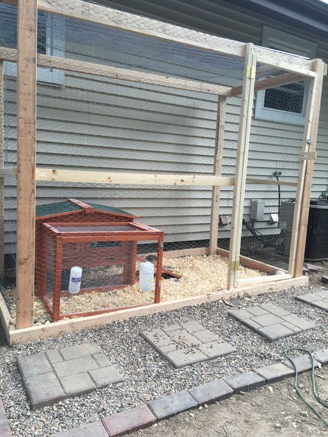 Diy Quail Aviary, Quail Aviary With Plants Diy, Diy Quail Coop, Quail Coop Ideas, Aviary Ideas Outdoor, Quail Coop Ideas Diy, Quail Aviary, Quail Garden, Quail Raising