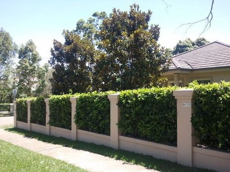 Front Yard Hedges, Pagar Modern, Garden Hedges, Country Fences, House Fence Design, Cheap Fence, Front Fence, Concrete Fence, Brick Fence