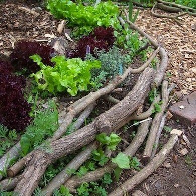 Jardim Diy, Lawn Edging, Landscape Edging, Woodland Garden, Landscaping Tips, Garden Edging, Natural Garden, Garden Borders, Diy Garden Projects