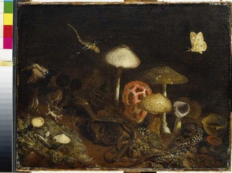 Reptiles, mushrooms and butterflies - Otto Marseus van Schrieck as ... Mushrooms And Butterflies, Cottagecore Prints, Vintage Halloween Printables, Moody Painting, Vintage Halloween Images, Butterfly Art Print, Forest Painting, Art Dark, Mushroom Art