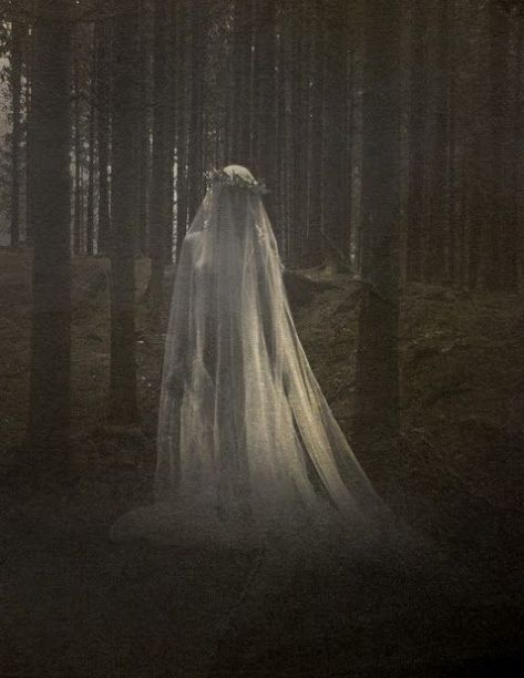 Ghost Bride, Arte Occulta, White Veil, Arte Obscura, Beltane, Dark Photography, 판타지 아트, Arte Horror, Dark Beauty