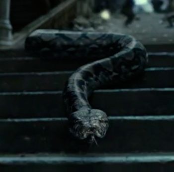 Nagini | Harry Potter Wiki | Fandom powered by Wikia Deatheater Aesthetic, Serpentine Valentine, Nagini Harry Potter, Phoenix Harry Potter, Rabastan Lestrange, Dark Harry, Dark Academic, Harry Potter Wiki, Harry Potter Wall