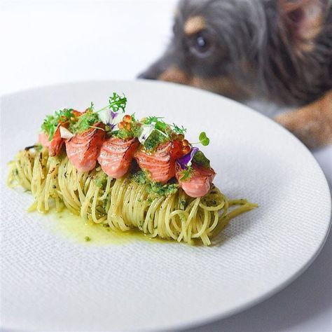 Recipe by SnowcologyCreation | Basil pesto pasta with charred aburi salmon. | Cookniche, linking the culinary world Basil Pesto Pasta, Food Presentation Plates, Food Plating Techniques, Gourmet Food Plating, Plating Ideas, Fine Dining Recipes, Awesome Food, Basil Pesto, Pesto Pasta