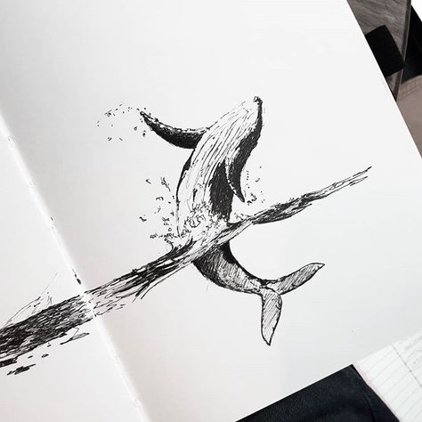 #inktober2018 #whale I haven't drawn an animal since forever. 15 minute sketch = poor whale has uneven flippers. Good luck out there friend. #illustrations #ofhiddenplaces Whale Sketch, New Sketches, Whale Drawing, Animal Sketch, Whale Tattoos, Black And White Illustrations, Whale Art, 1 Tattoo, For Journal