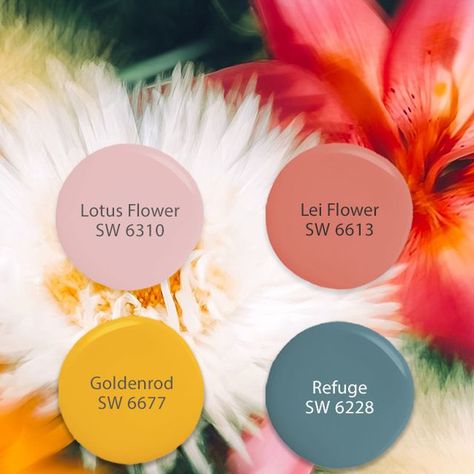 Boho Paint Colors, Lei Flower, 2024 Colors, Boho Entryway, Flower Lei, Color Vibe, Sherwin Williams Paint Colors, Project Inspiration, Pink Boho