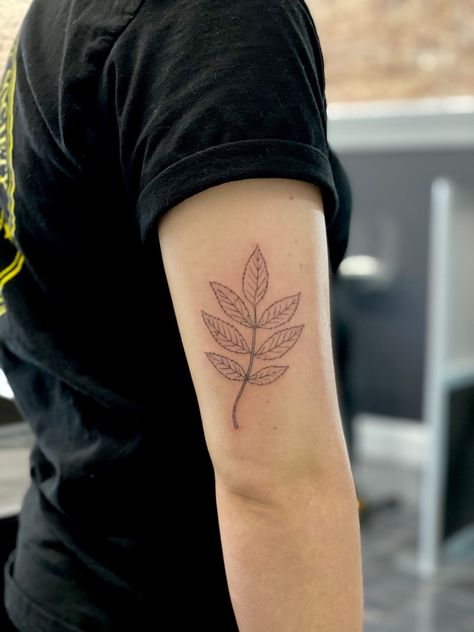 Ash Tree Branch Tattoo, Ash Leaves Tattoo, Ash Tree Leaves Tattoo, Mountain Ash Tattoo, Ash Leaf Tattoo, Ash Tree Tattoo, Rowan Tattoo, Ash Tattoo, Tree Tat