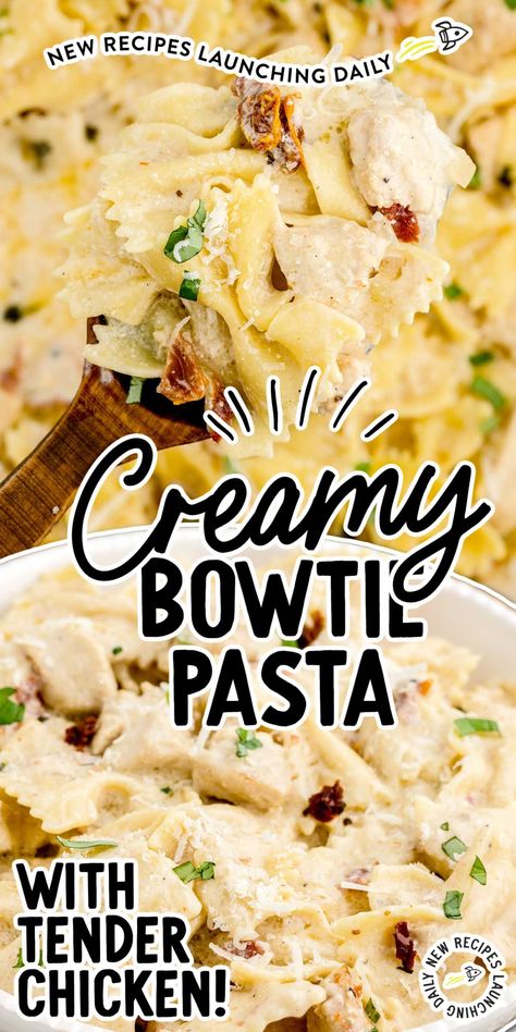 Mini Farfalle Recipes Pasta Dishes, Chicken And Bowtie Pasta Recipes, Bowtie Pasta Recipes Easy, Chicken Bowtie Pasta Recipes, Creamy Bowtie Pasta, Bowtie Pasta Recipes, Bowtie Pasta Recipe, Bow Tie Pasta Recipes, Farfalle Pasta Recipes