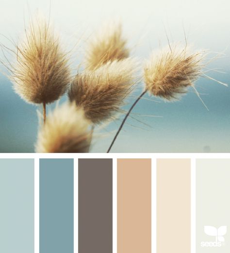 Nature hues ~ design seeds Modern Bathroom Colours, Design Seeds Color Palette, Seeds Color Palette, Bathroom Color Palette, Exterior Paint Schemes, Seeds Color, Perfect Paint Color, Paint Color Schemes, Best Paint Colors