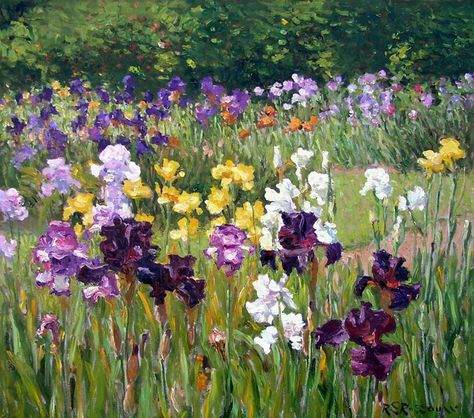 Roelof Rossouw, Canvas Art Painting Acrylic, Garden Mural, Iris Painting, Pastel Landscape, Floral Oil Paintings, Landscape Art Painting, Garden Painting, Watercolor Flower Art