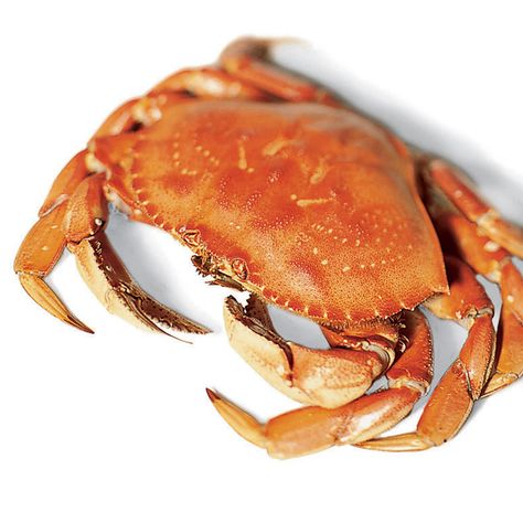 Cooking Dungeness Crab, Baked Crab Cakes, Cooking Crab, Steamed Crabs, Creamy Mustard Sauce, Seafood Diet, Stone Crab, Crab Cake Recipe, Smoker Cooking