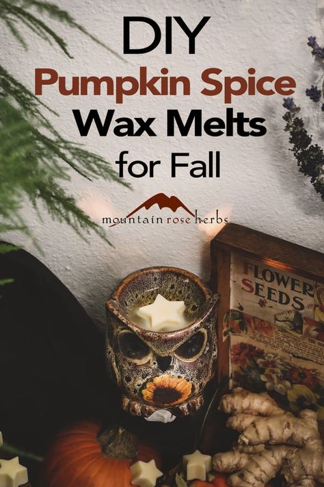 Wax Melts Diy, Homemade Wax Melts, Homemade Incense, Pumpkin Spice Blend, Wax Air Freshener, Wax Melts Recipes, Beeswax Candles Diy, Diy Pumpkin Spice, Best Wax Melts