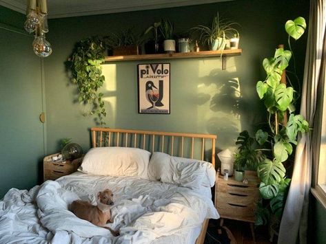 art 🎨 on Twitter: "… " Green Walls, Bedroom, Bed, Plants, Wall, Green, Design