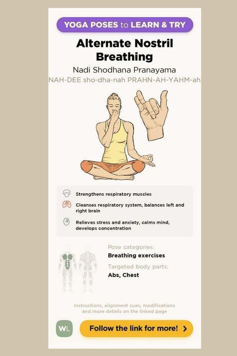 Nadi Shodhana Pranayam,Strengthens respiratory muscles

CCleanses respiratory system, balances left and

right brain Relieves stress and anxiety, calms mind,

develops concentration Nostril Breathing, Nasal Breathing, Alternate Nostril Breathing, Right Brain, Respiratory System, Breathing Exercises, Pranayama, Yoga Poses, Meditation