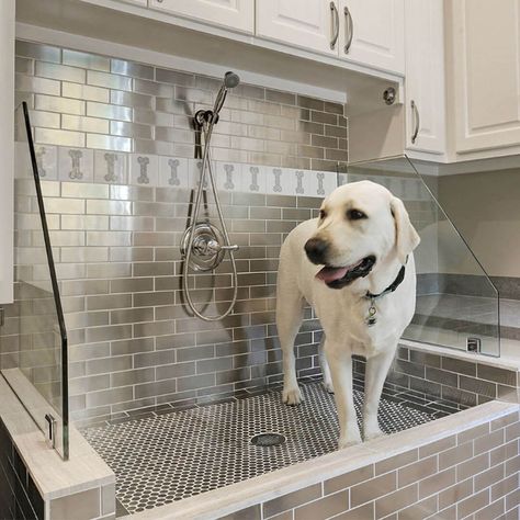 Why Pet Owners Should Build Their Own Dog Shower | Trini Tile Dog Bathing Station, Diy Dog Wash, Veranda Design, Traditional Laundry Room, Pet Washing Station, Dog Bathroom, Dog Washing Station, Laundry Room Remodel, Laundry Room Inspiration