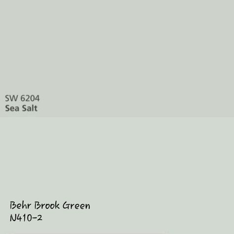 While they may look slightly different on the screen when compared in person they are identical. Behr Brook Green, Sw Sea Salt, Paint Color Combos, Brook Green, Indoor Paint, House Color Palettes, Farm House Colors, Living Room Update, Room Paint Colors