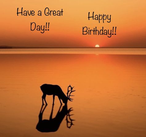 Happy Birthday Hunter, Birthday Wish, Son In Law, Happy Birthday Greetings, Birthday Images, Happy Birthday Wishes, Birthday Greetings, Happy Day, Birthday Wishes