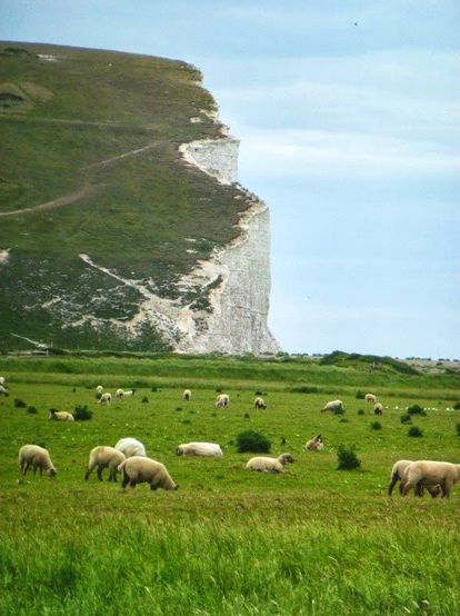 Britain Landscape, Natural Views, England Top, Irish Countryside, Sussex England, Breathtaking Places, England And Scotland, Ireland Scotland, Jolie Photo