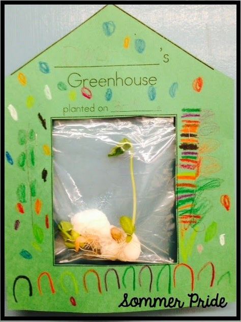 So much cuter (and just a little bit more work) than using just a ziplock back in the window.  Get the greenhouse blackline, or make your own.  Great idea! Plant Unit Kindergarten, Glad Strategies, Plants Kindergarten, Science Experience, Kindergarten Units, Plants Unit, Plant Activities, Spring Kindergarten, April Art