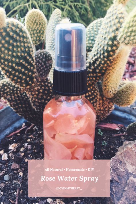 Rose Spray, Facial Spray Diy, Rose Water Hair Mist Diy, Diy Rosewater Toner, Rose Water Loc Spray, Rose Water Hair, Homemade Rose Water Facial Toner, Diy Rose Water Face Mist, Diy Rose Water Toner