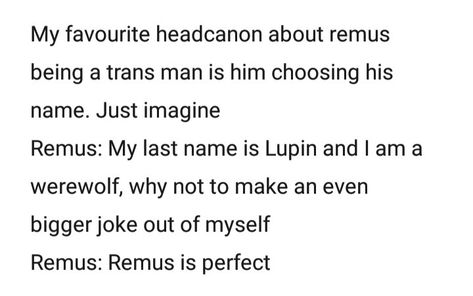 Peter Pettigrew Fanarts, Remus Lupin Headcanon, Harry Potter Trans, Sirius Black X Remus Lupin, Trans Sirius Black, Disabled Remus Lupin Fanart, Remus Lupin Quotes Atyd, Trans Remus Lupin, Trans Sirius Black Fan Art