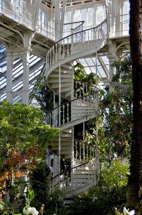 You spin me right round | In the palm house at Kew - obviously I didn't go up this staircase.... but Neil did and got a great view. Orchid House, Casa Retro, Iron Grill, Plants Growing, Spiral Stairs, Stairway To Heaven, Kew Gardens, Spiral Staircase, Horror Story