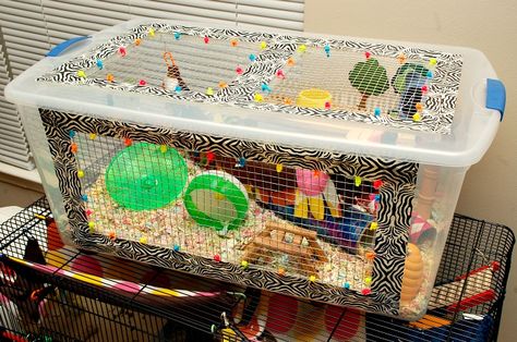 I am so proud of this. I've stated in THIS post (when all I had finished so far was the lid) that a lovely gal from Hamster Central posted her finished bin cage and it set a whole new level to the ... Diy Hamster Cage Homemade, Homemade Hamster Cage, Diy Rat Cage Homemade, Homemade Rat Cage Ideas, Plastic Hamster Cage, Storage Bin Hamster Cage, Hamster Bin Cage, Hamster Diy Cage, Gerbil Cages