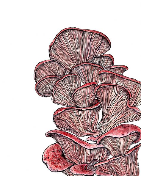 Oyster Tattoo, Mushroom Prints, Sick Drawings, Mushroom Wall Art, Fungi Art, Mushroom Pictures, Mushroom Tattoos, Mushroom Drawing, Oyster Mushrooms