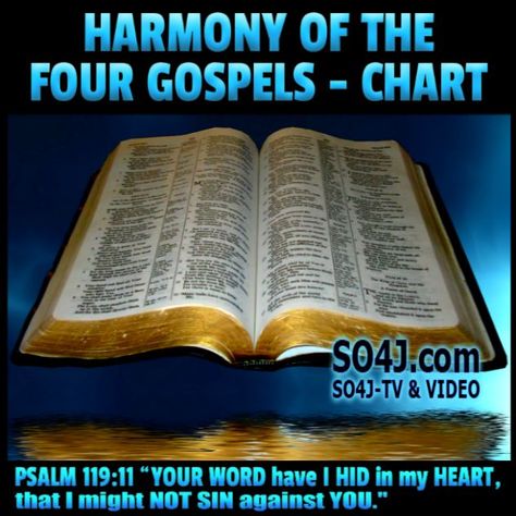 Harmony of the Four Gospels Chart - Comparisons of the Four Gospels of Jesus Christ in the Bible. Mormon Beliefs, Synoptic Gospels, The Four Gospels, Mighty Warrior, Four Gospels, Paul Walker Quotes, Luke 9, Jesus Heals, Audio Bible