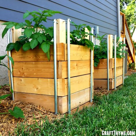 how to build potato boxes Potato Garden, Potato Planter, Grow Potatoes In Container, Potato Box, Potato Tower, Container Potatoes, Potato Gardening, Potato Planters, Container Vegetables