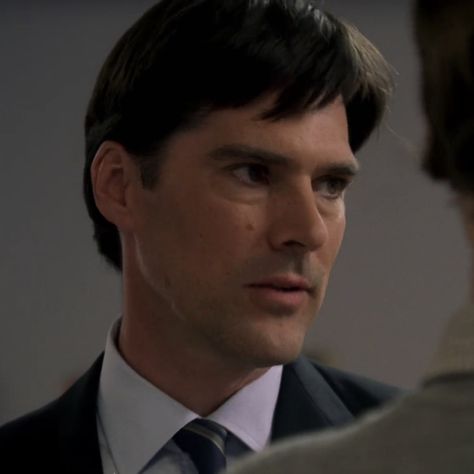 Aaron Hotchner Icon, Haley Hotchner, Agent Hotchner, Sean Leonard, Cary Elwes, Aaron Hotchner, Thomas Gibson, Crimal Minds, Matthew Gray