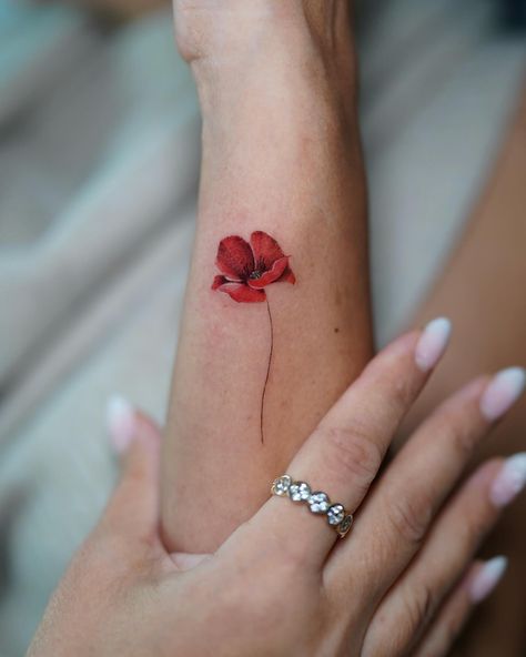 More poppies, more! 🥀 Done at @fktattooartgallery . . . . #tattoo #poppie #flowertattoo #colortattoo Roses And Poppies Tattoo, Poppy And Clover Tattoo, Poppy And Rose Tattoo, Red Poppy Flower Tattoo, Tiny Poppy Tattoo, Small Poppy Flower Tattoo, Tattoo Husband, Poppy Flower Tattoos, Poppy Tattoo Design