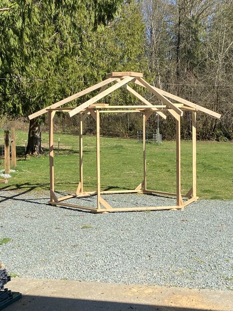 My husband built a hexagon green house for tomatoes. Octagonal Greenhouse, Farm Stuff, Weeping Willow, Green House, Greenhouses, Dream Homes, My Husband, Outdoor Spaces, Tomatoes