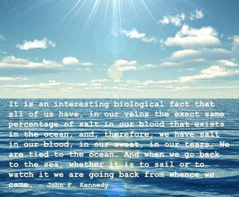 John F. Kennedy ocean quote. "... we have the same percentage of salt in our blood that exists in the ocean..." Ocean Quote, Sailing Quotes, Sea Magic, Mermaid Quotes, Biology Facts, Ocean Quotes, Ocean Fashion, I Love The Beach, Beach Quotes